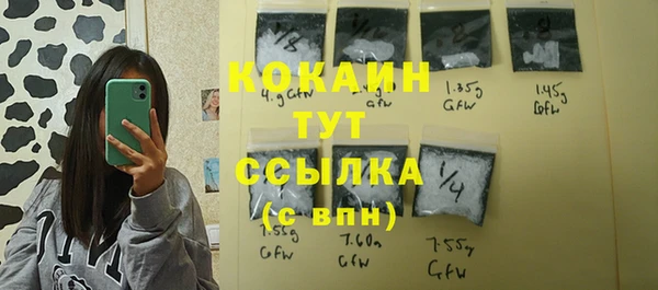шишки Белокуриха