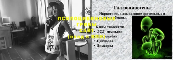 шишки Белокуриха