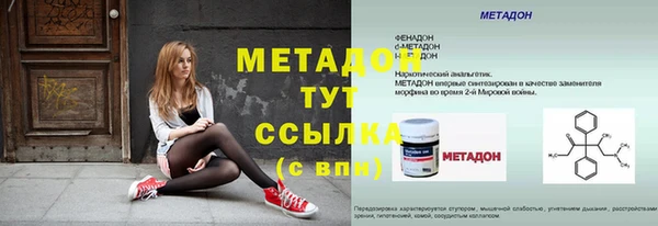 шишки Белокуриха
