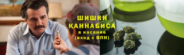шишки Белокуриха