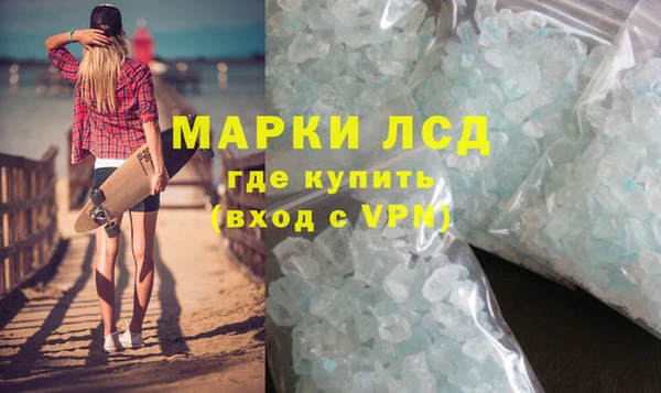 шишки Белокуриха