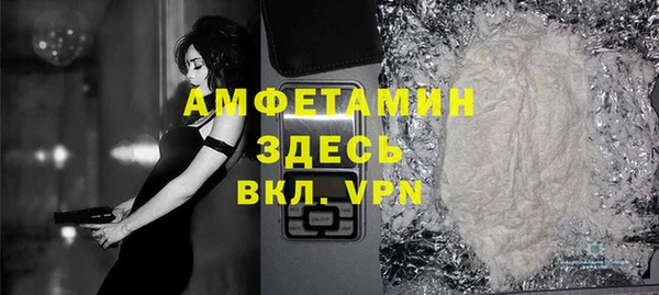 шишки Белокуриха