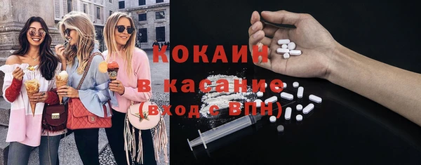 шишки Белокуриха
