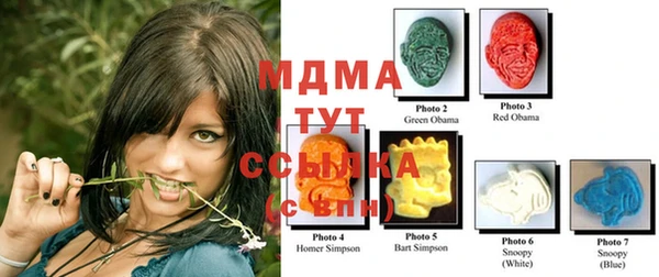 шишки Белокуриха