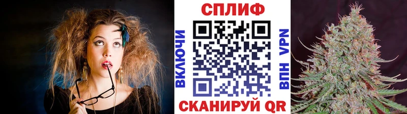 Конопля планчик закладки Пойковский